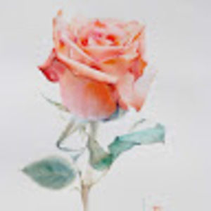 Meet your Posher, Julian